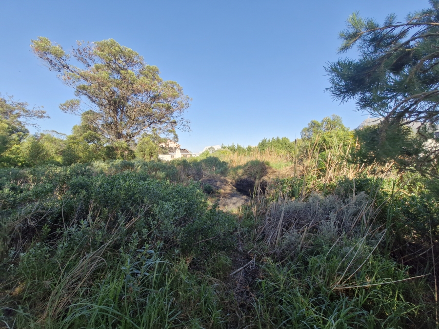 0 Bedroom Property for Sale in Bettys Bay Western Cape